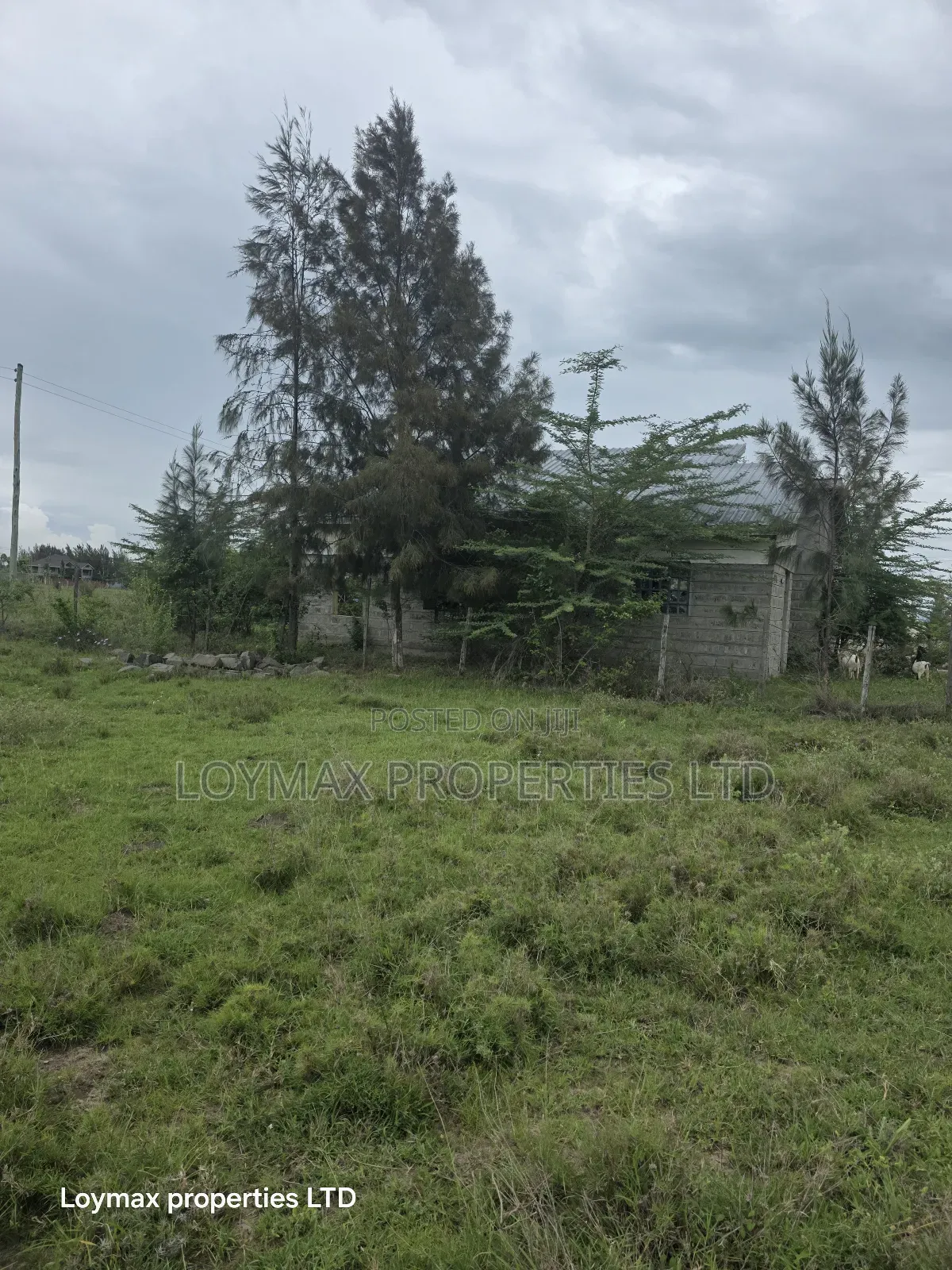 50*100 Residential Plot in Kitengela Kag