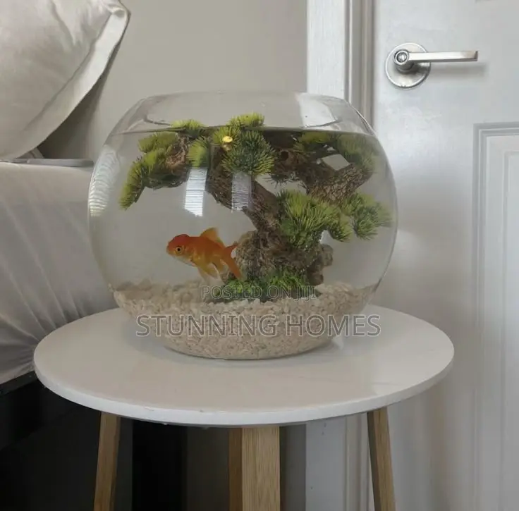 18ltrs Fish Bowl