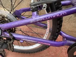 Carrera Size 20 Bike