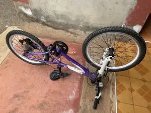 Carrera Size 20 Bike