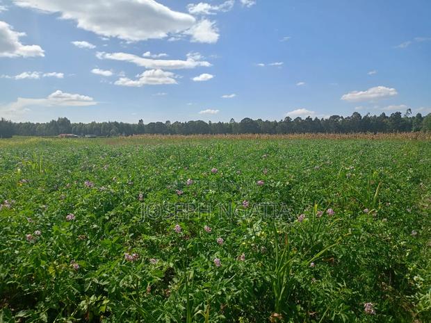 3 Acres on Sale in Engineer