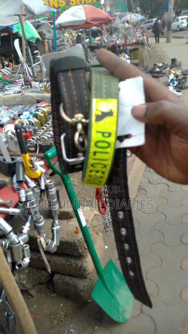 Dog Leash and Collar - main view