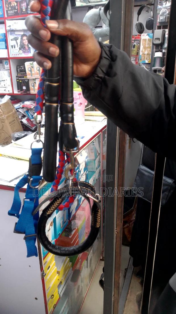 Dog Leash and Collar - thumbnail 4