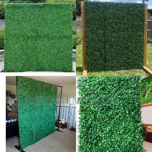 Green Wall Hedges Green Wall Hedges for Beautiful Backdrops