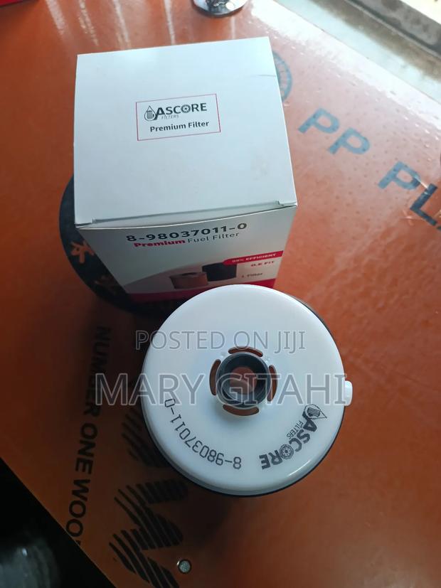 Fuel Filter FRR Slay Queen New Model