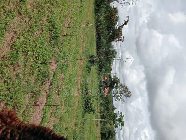 Matuu Sinai Prime Plot - thumbnail 2