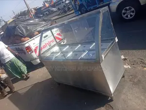 Stainless Steel Food Display/Warmer.