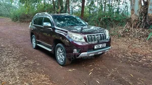 Toyota Land Cruiser Prado 4.0 Petrol TZ-G 2011 Maroon