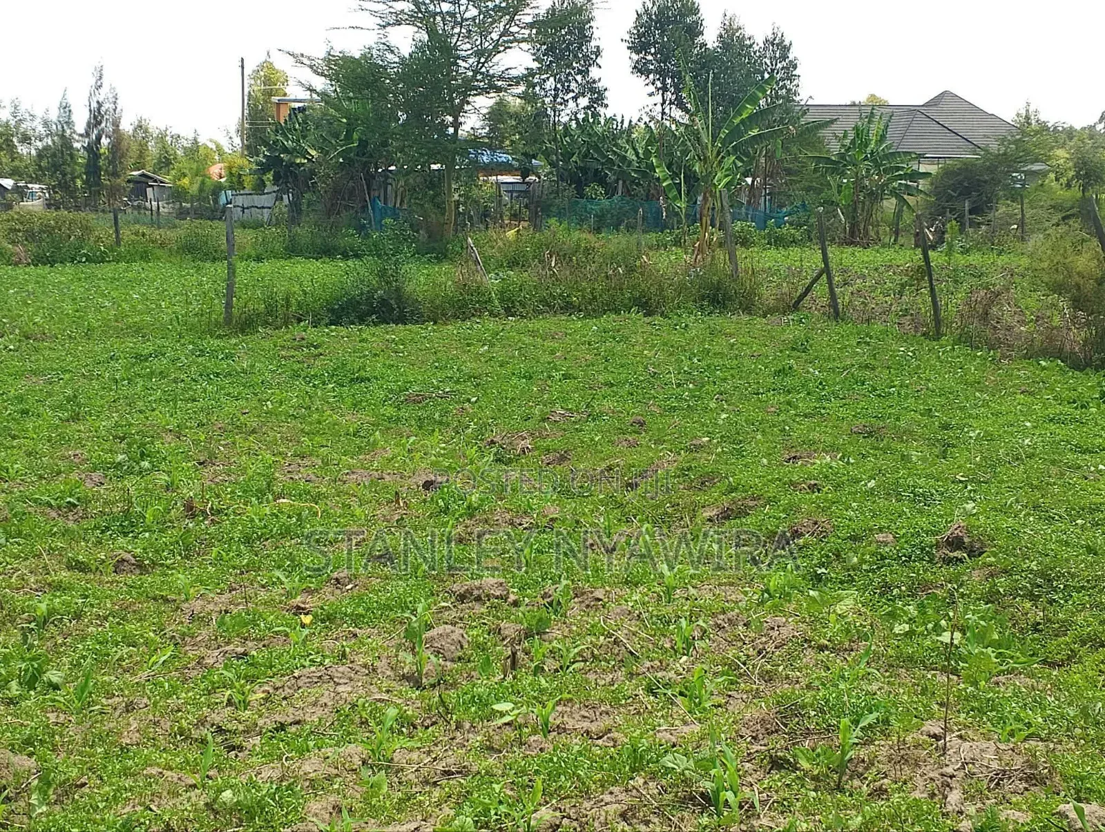 Plot for Sale Nanyuki