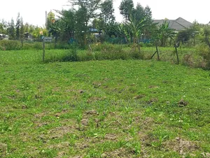Plot for Sale Nanyuki