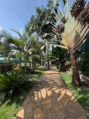 6bdrm Mansion in Runda Flame Tree for rent