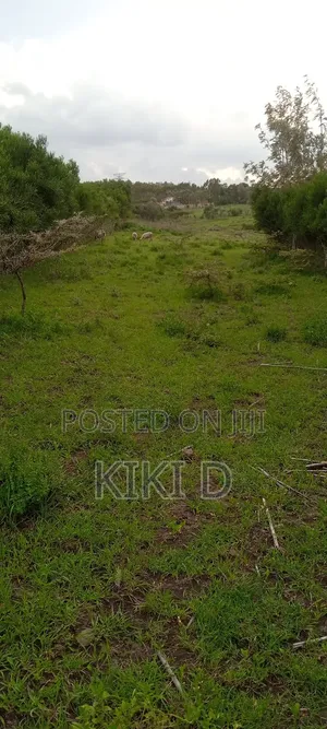 1 Acre, Kipeto, 12km From Quickmart Kiserian