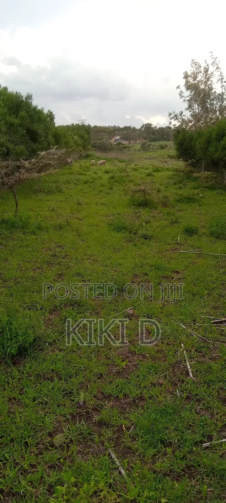 1 Acre, Kipeto, 12km From Quickmart Kiserian