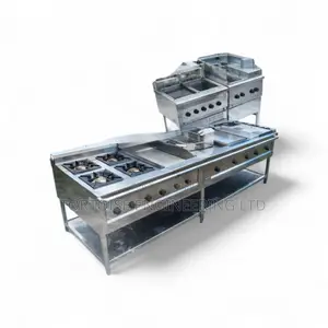 Combined Cooking Units With 4burner, Griddle , Fryer and Chips Dumber