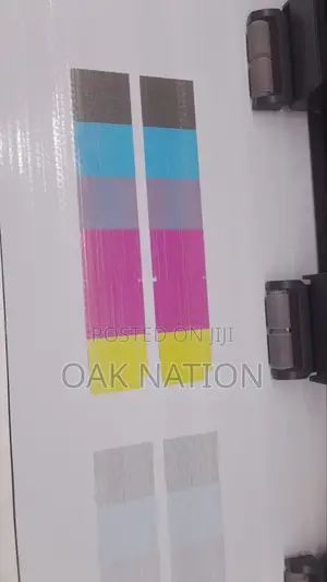 Professiobal Service for Large Formart and DTF Printers