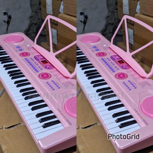 Professional Piano With In Built Battery - main view
