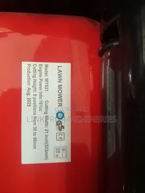 161 Cc Briggs and Stratton Petrol Lawnmower
