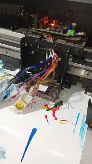 Professiobal Service for Large Formart and DTF Printers