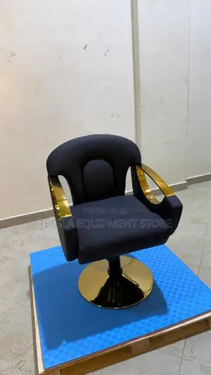 Styling Salon Seat