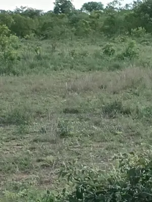10 Acres Land for Sale