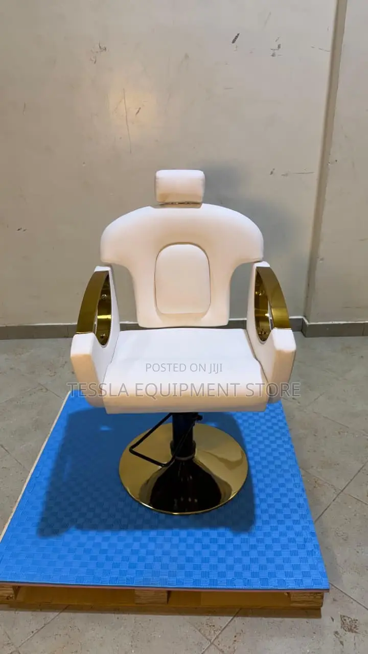 Importerd White Gold Hairdressing Chair