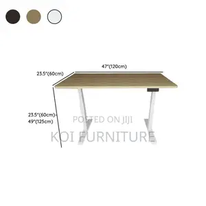 Office Desk; 1200mm Electric Adjustable Ergonomic Flexxi Koi Desk