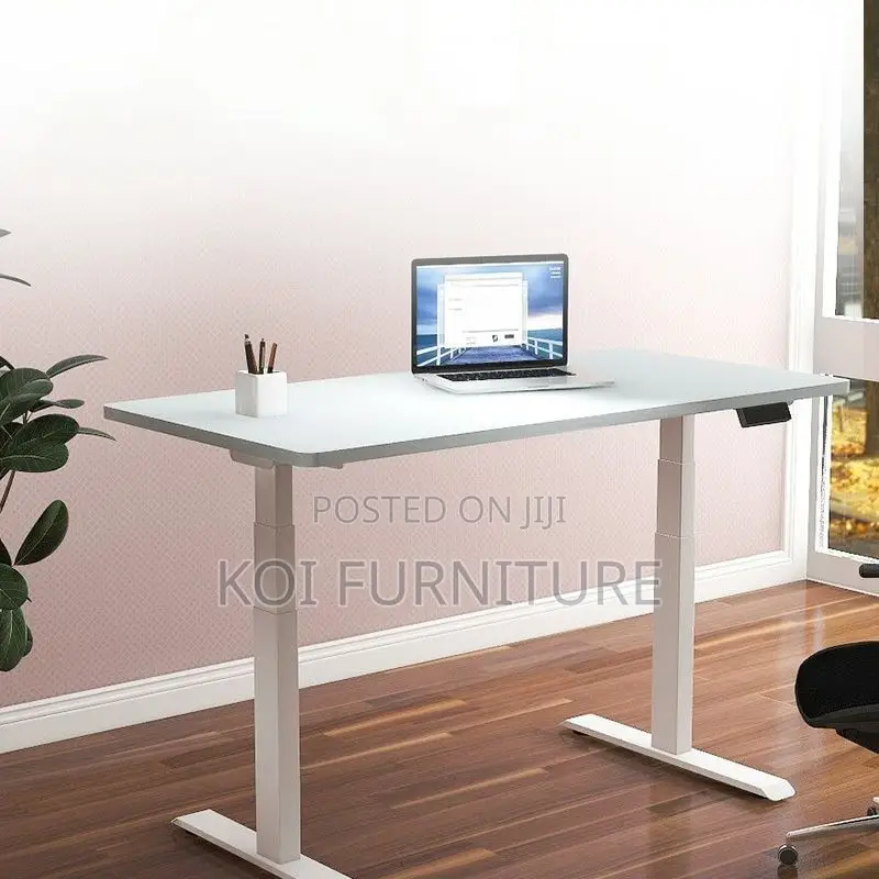 Office Desk; 1200mm Electric Adjustable Ergonomic Flexxi Koi Desk