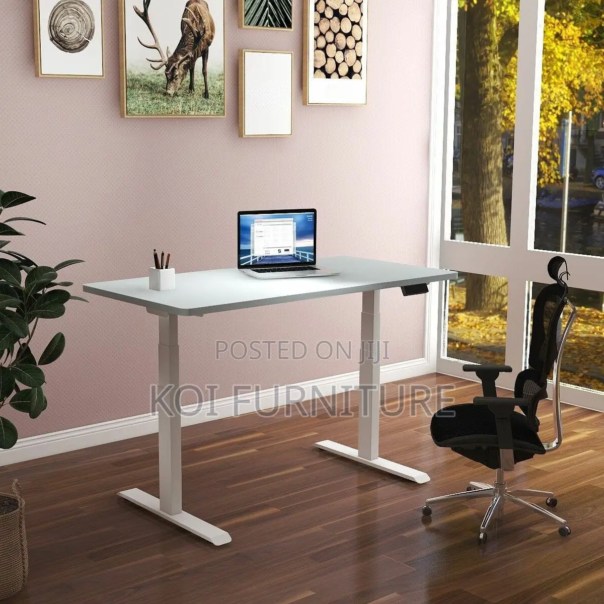 Office Desk; 1200mm Electric Adjustable Ergonomic Flexxi Koi Desk