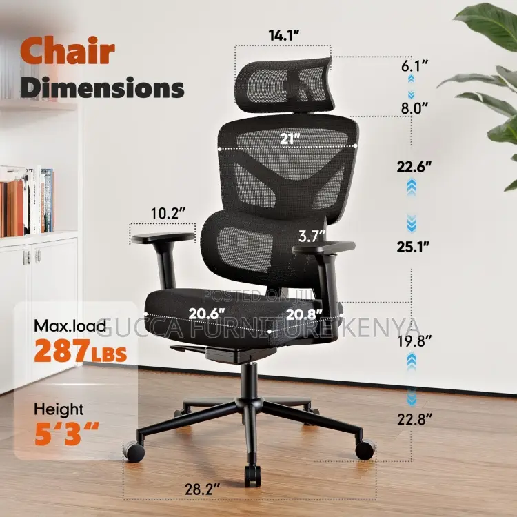 Executive Mesh Task Chair With Lumbar Support