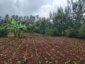 1 Beautiful Acre on Sale at Makuyu-Pundamilia
