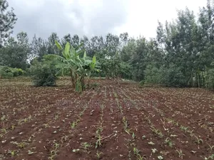 1 Beautiful Acre on Sale at Makuyu-Pundamilia