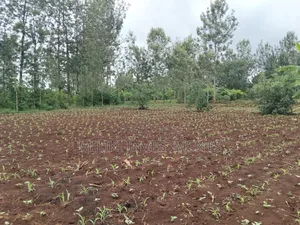 1 Beautiful Acre on Sale at Makuyu-Pundamilia