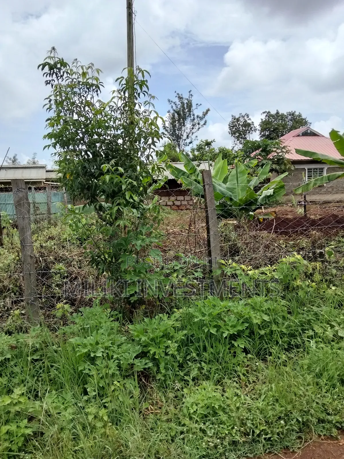 1 Beautiful Acre on Sale at Makuyu-Pundamilia