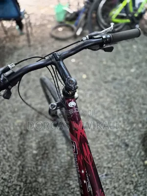 Pinnacle Mountain Bike