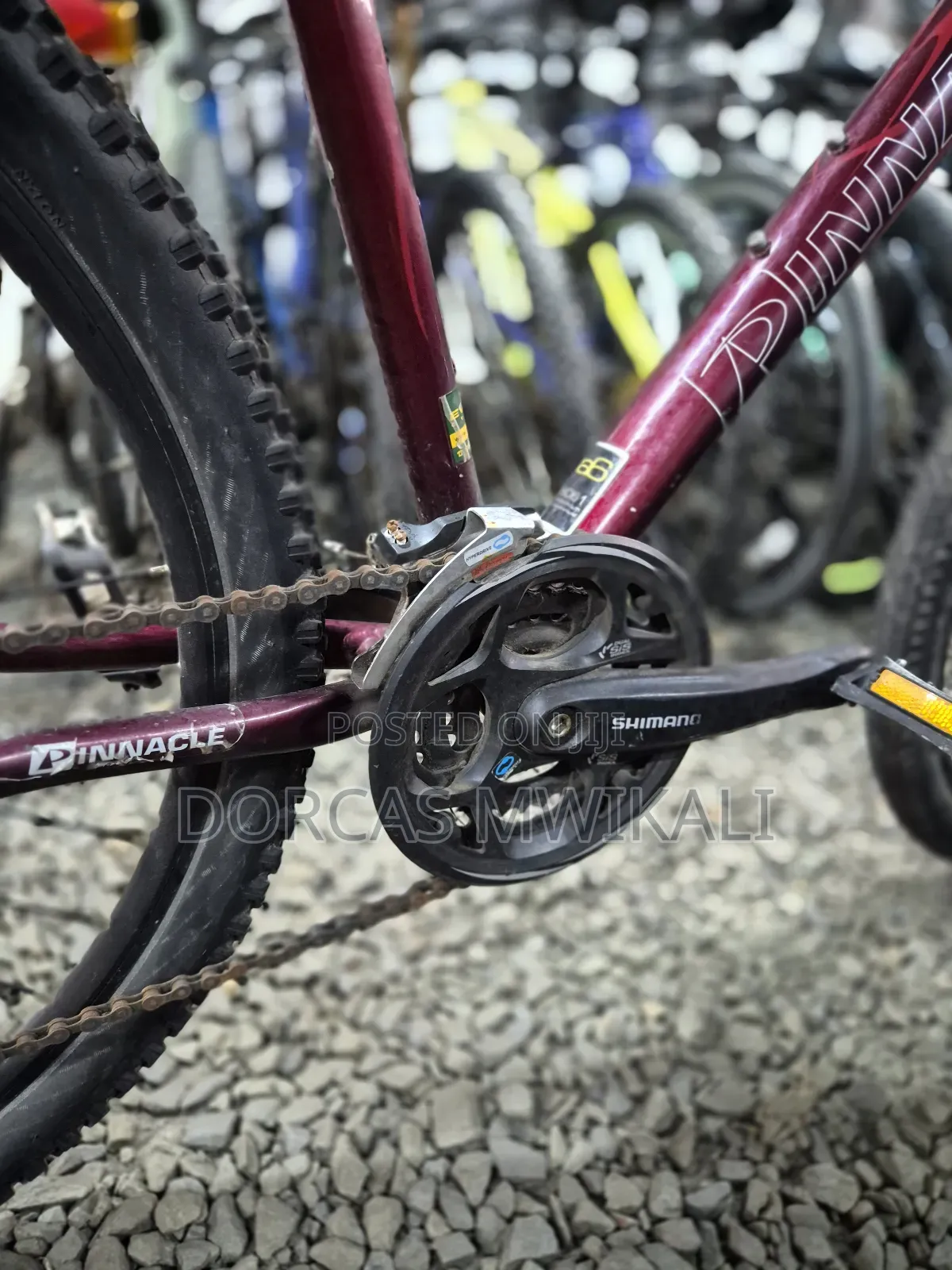 Pinnacle Mountain Bike