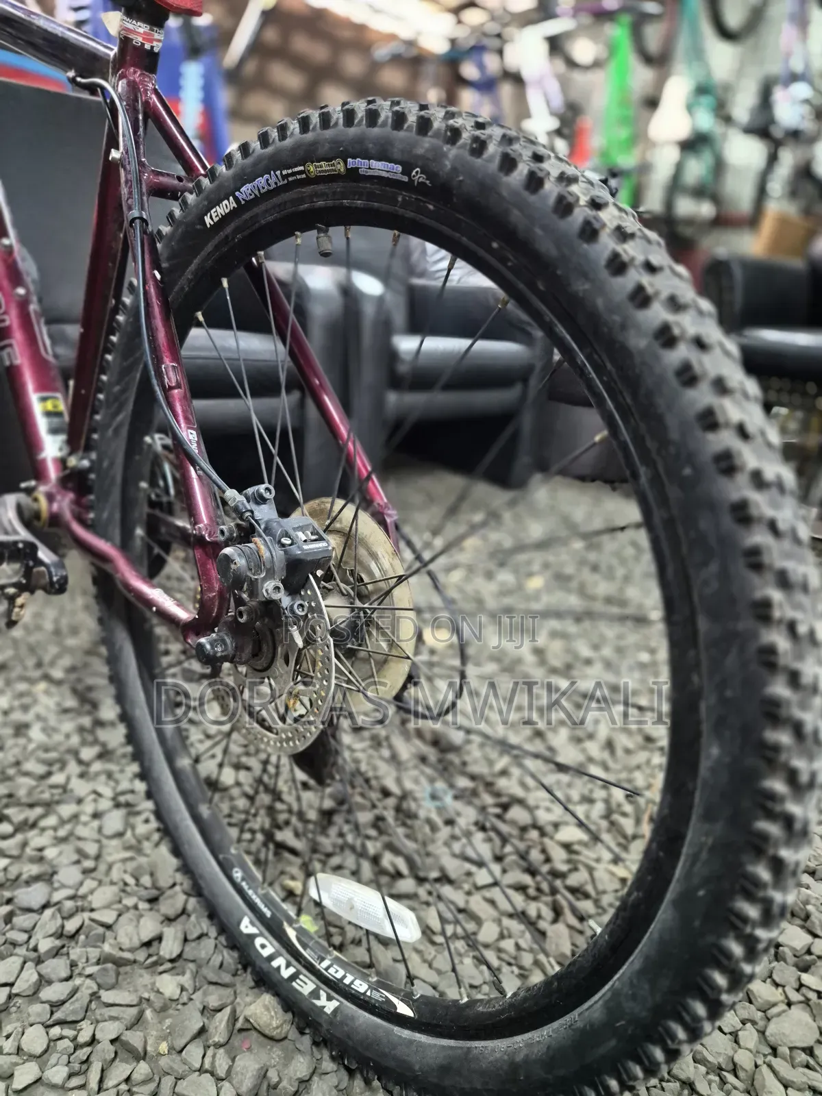 Pinnacle Mountain Bike