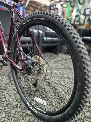 Pinnacle Mountain Bike