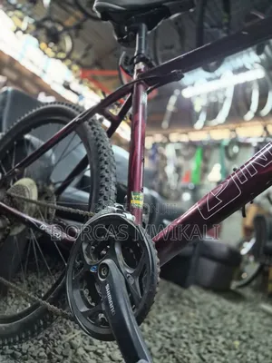 Pinnacle Mountain Bike