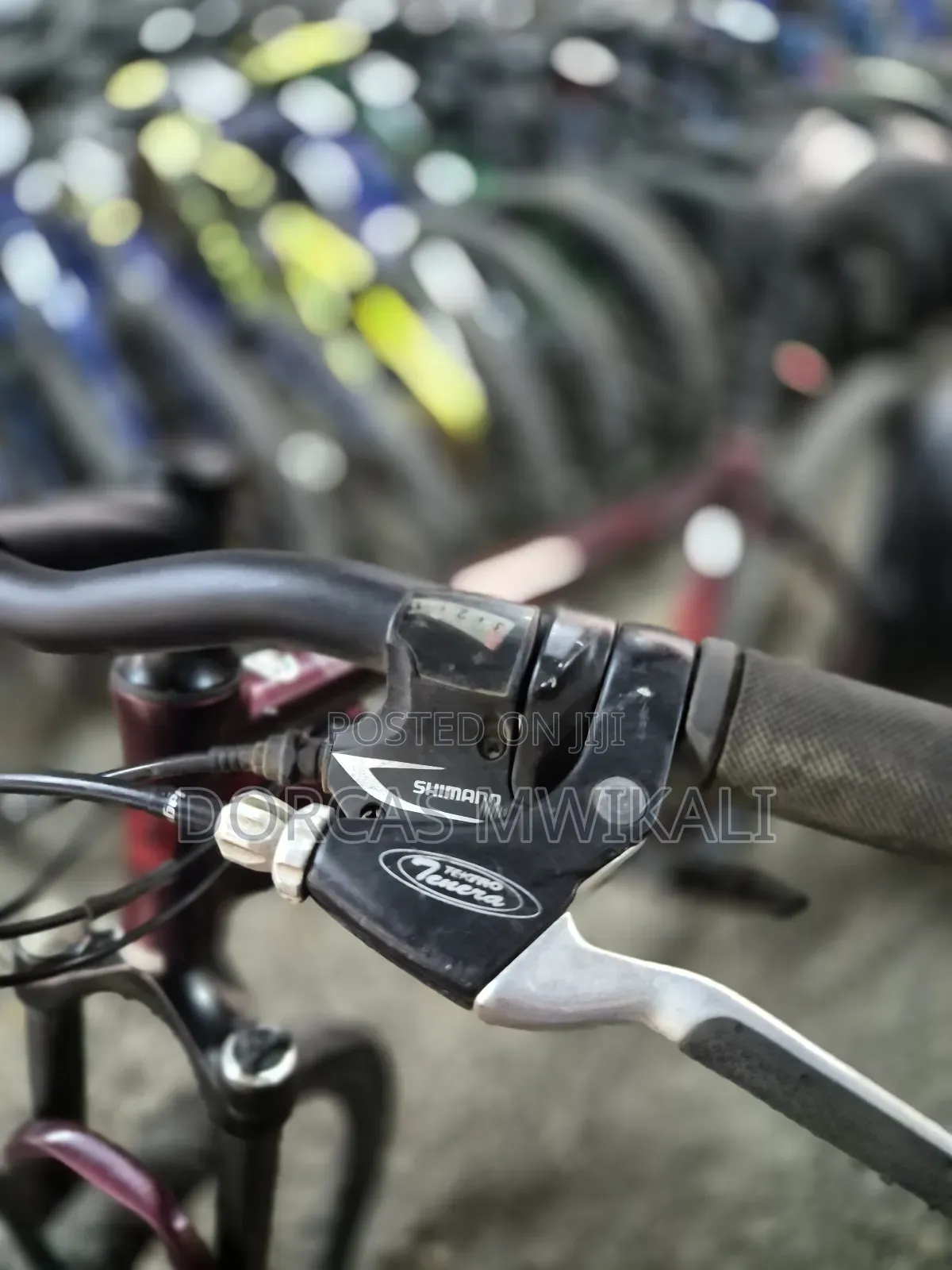 Pinnacle Mountain Bike