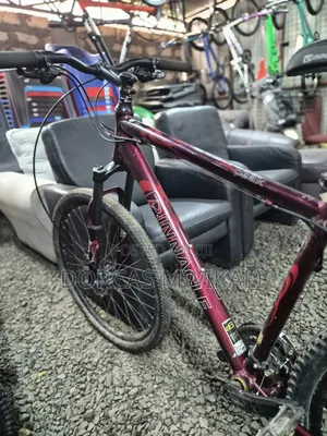 Pinnacle Mountain Bike