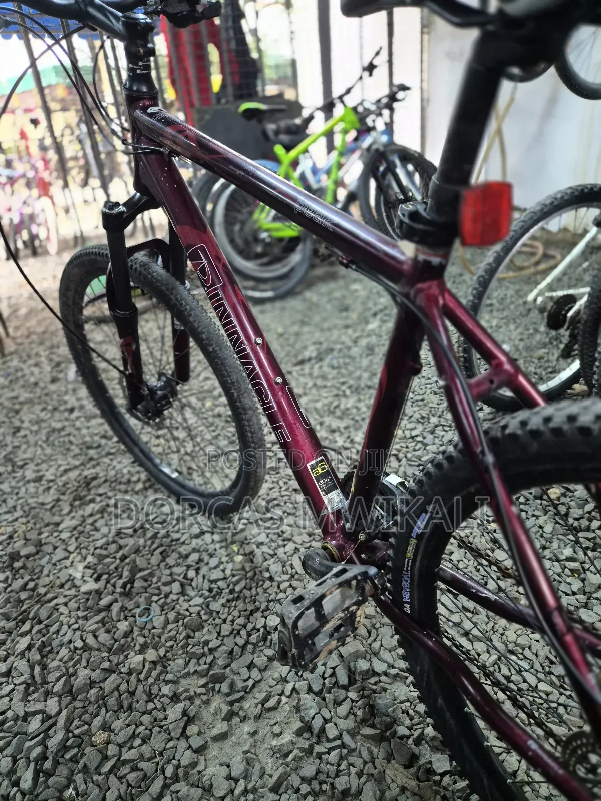 Pinnacle Mountain Bike