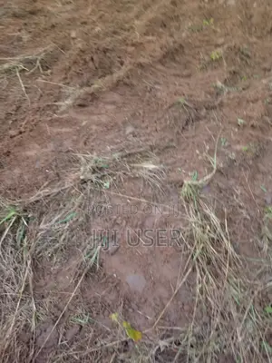 Malaa Land for Sale