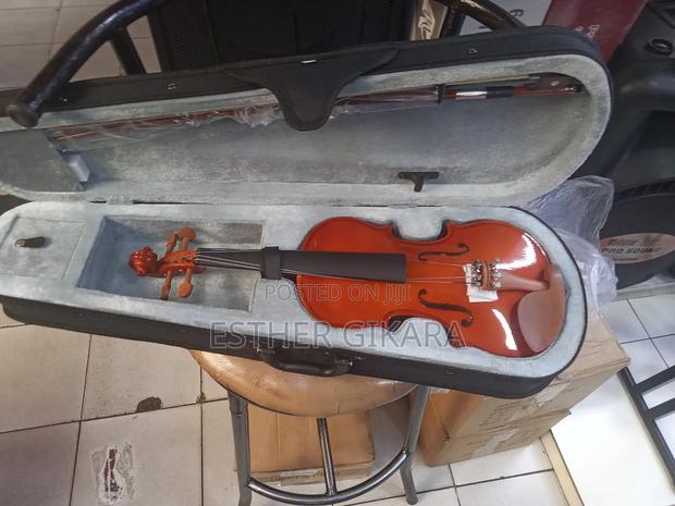 Violins All Sizes - main view