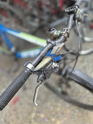 Carrera Valour Mountain Bike.