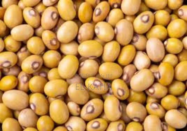 Yellow Beans - main view