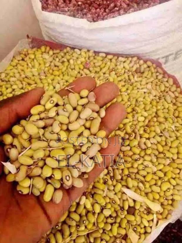Yellow Beans - thumbnail 2