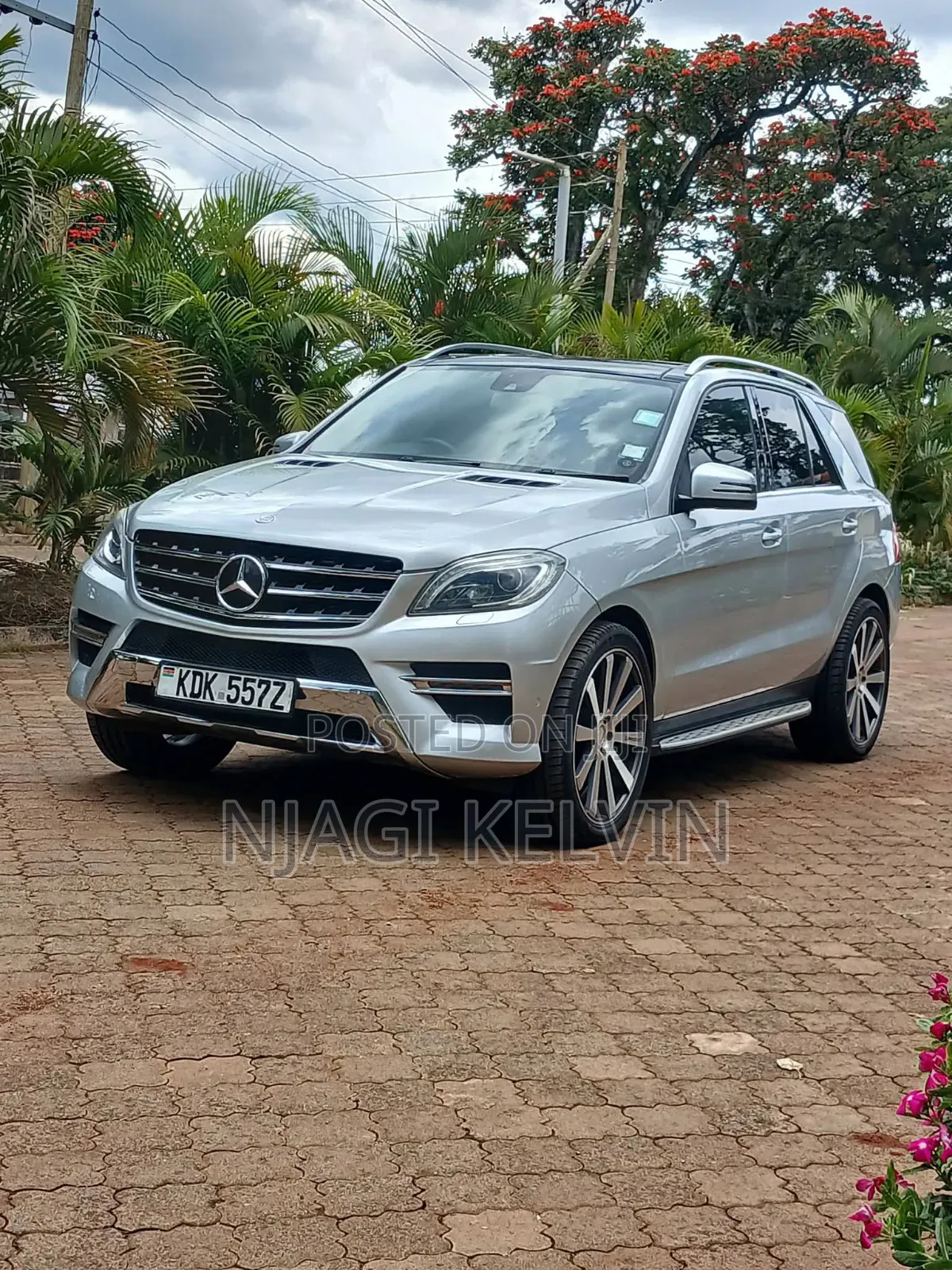 Mercedes-Benz M Class 2014 Silver
