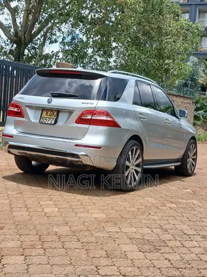 Mercedes-Benz M Class 2014 Silver