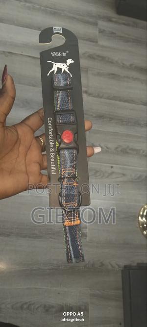 Fancy Dog Collar - thumbnail 2