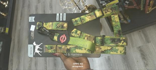 Dog Lead and Harness - thumbnail 2